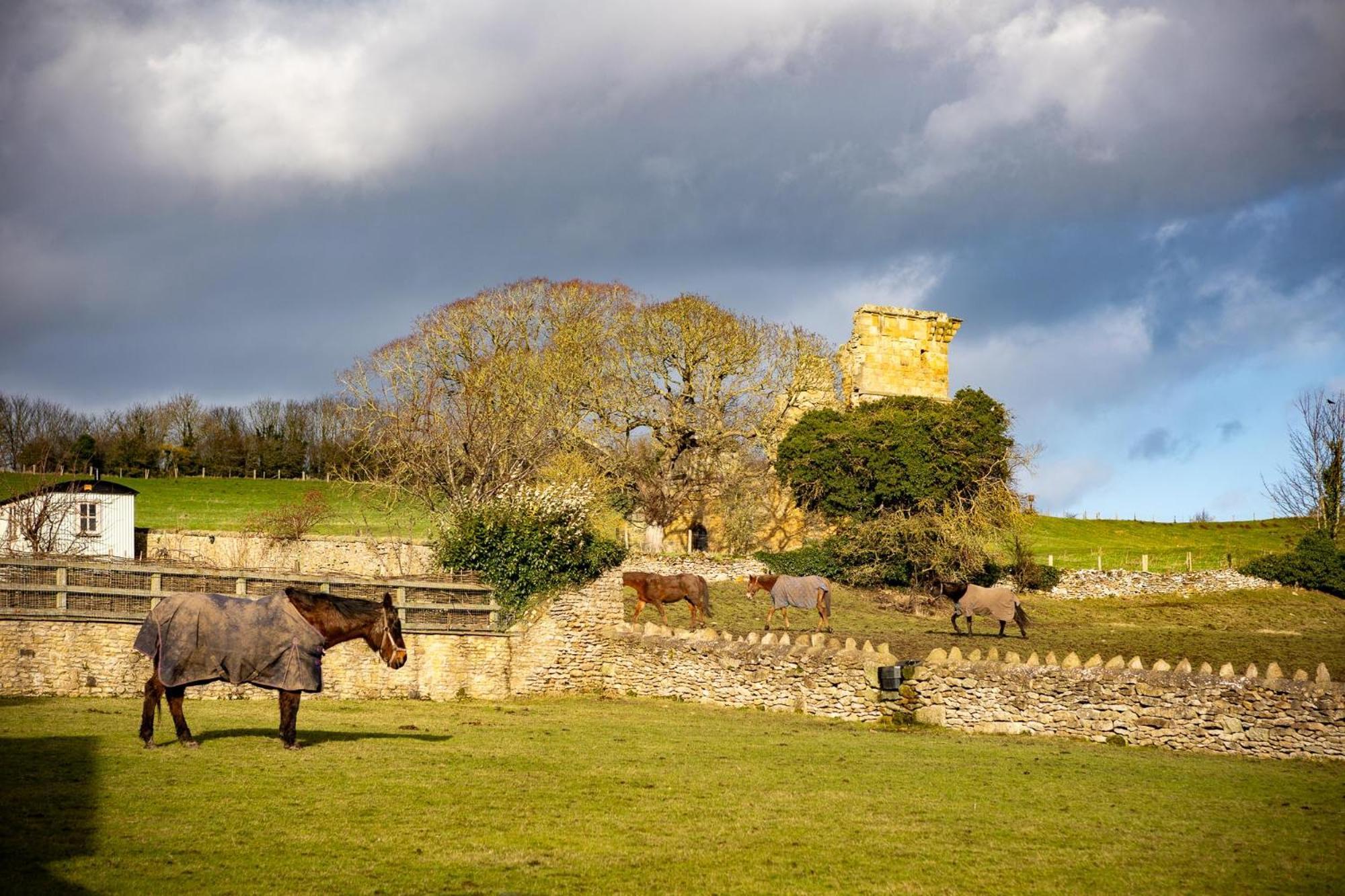 Yew Tree Cottage East Ayton Bagian luar foto